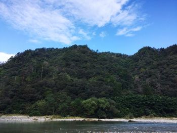 Scenic view of trees against sky