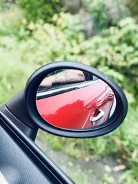 Close-up of sunglasses on side-view mirror