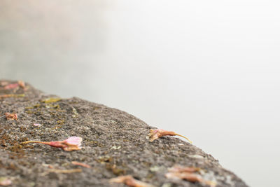 Close-up of rocks on rock against sky