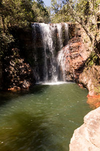 Scenic view of waterfall in forest