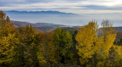 Scenic view of trees and mountains against sky