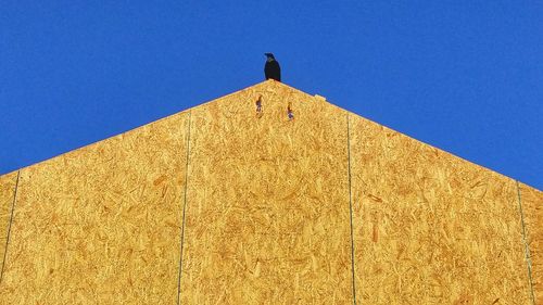 Low angle view of bird perching on building against clear blue sky