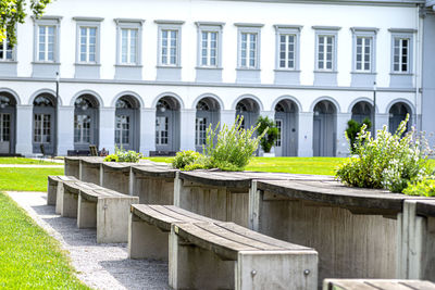 Benches and tables with flowers arranged in a row in the park.