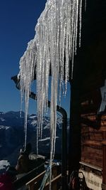 Low angle view of icicles hanging against clear sky at night