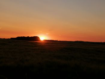 Scenic view of field against sky during sunset