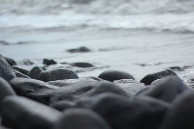 Scenic view of beach