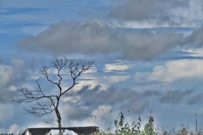 Low angle view of bare trees against cloudy sky