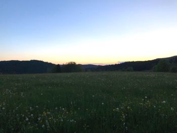 Scenic view of field against clear sky during sunset