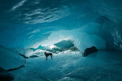 High angle view of people standing on frozen sea