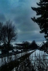 Bare trees against sky