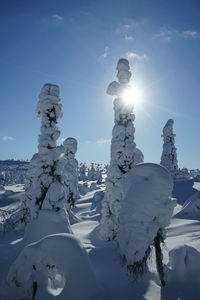 Snow covered rocks against sky