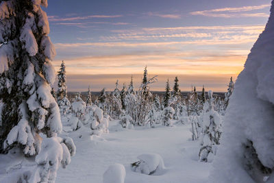 Snow covered field against sky during sunset
