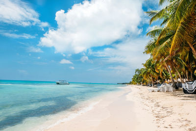 Scenic view of beach against sky