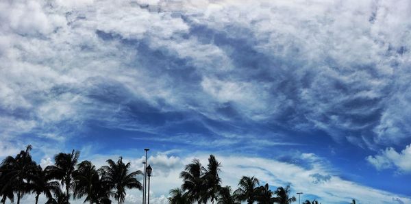 Low angle view of trees against cloudy sky