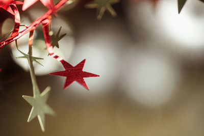 Close-up of christmas decoration