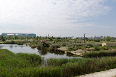 Scenic view of field against sky