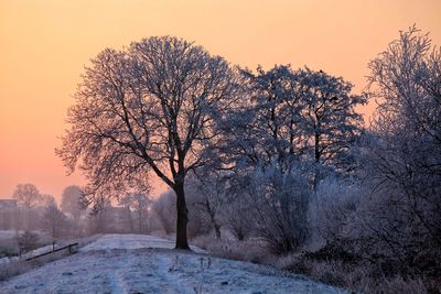 Bare trees on snow covered landscape against sky during sunset