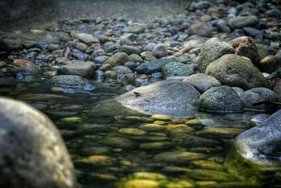Rocks in shallow water