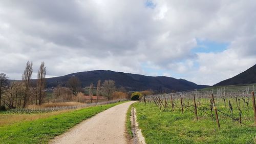 Road amidst field against sky