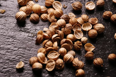 Close-up of shells on table