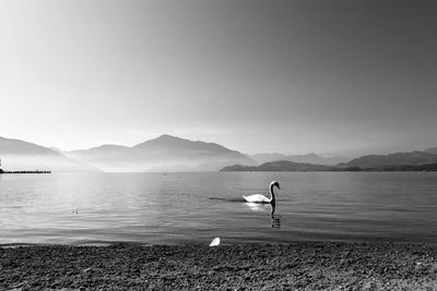 Rear view of man standing at beach against sky