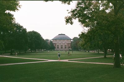 Trees in front of park