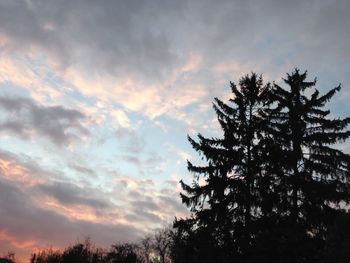 Low angle view of trees against cloudy sky