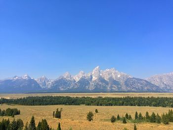 Scenic view of field and mountains against blue sky