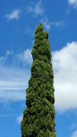 Low angle view of trees against cloudy sky