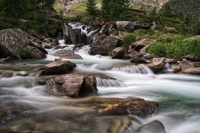 Scenic view of waterfall in forest