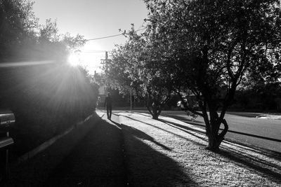 Road amidst trees against sky