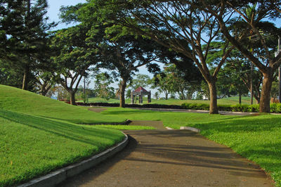 Footpath in park