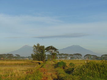 Scenic view of field and mountains against sky