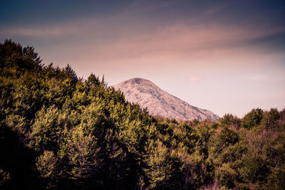 Scenic view of tree mountains against sky