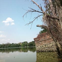 Low angle view of bird on lake against sky