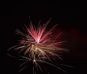 Low angle view of firework display at night