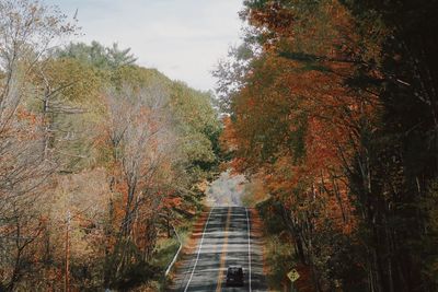 High angle view of trees in forest during autumn