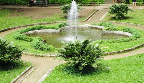 View of fountain in garden