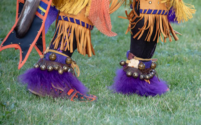 Low section of person in costume on field