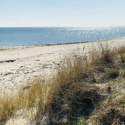 Scenic view of sea against clear sky