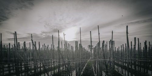 Panoramic shot of factory against sky