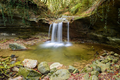 Scenic view of waterfall in forest