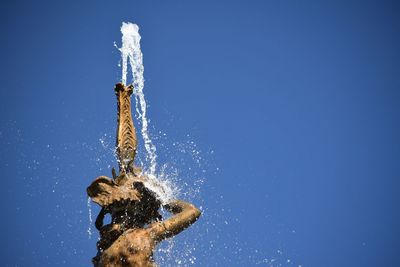 Close-up of lizard against clear blue sky