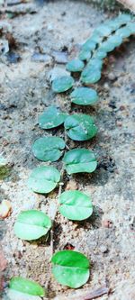Full frame shot of rocks