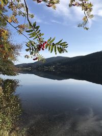 Scenic view of lake by trees against sky