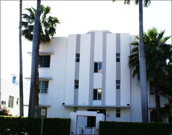 Palm trees and buildings in city against sky