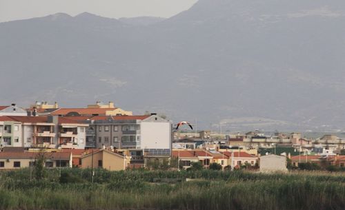 Buildings in city against sky