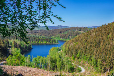 Scenic view of lake amidst trees in forest against sky