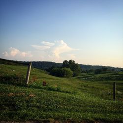 Scenic view of grassy field against sky