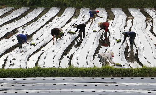 High angle view of group of people on the ground